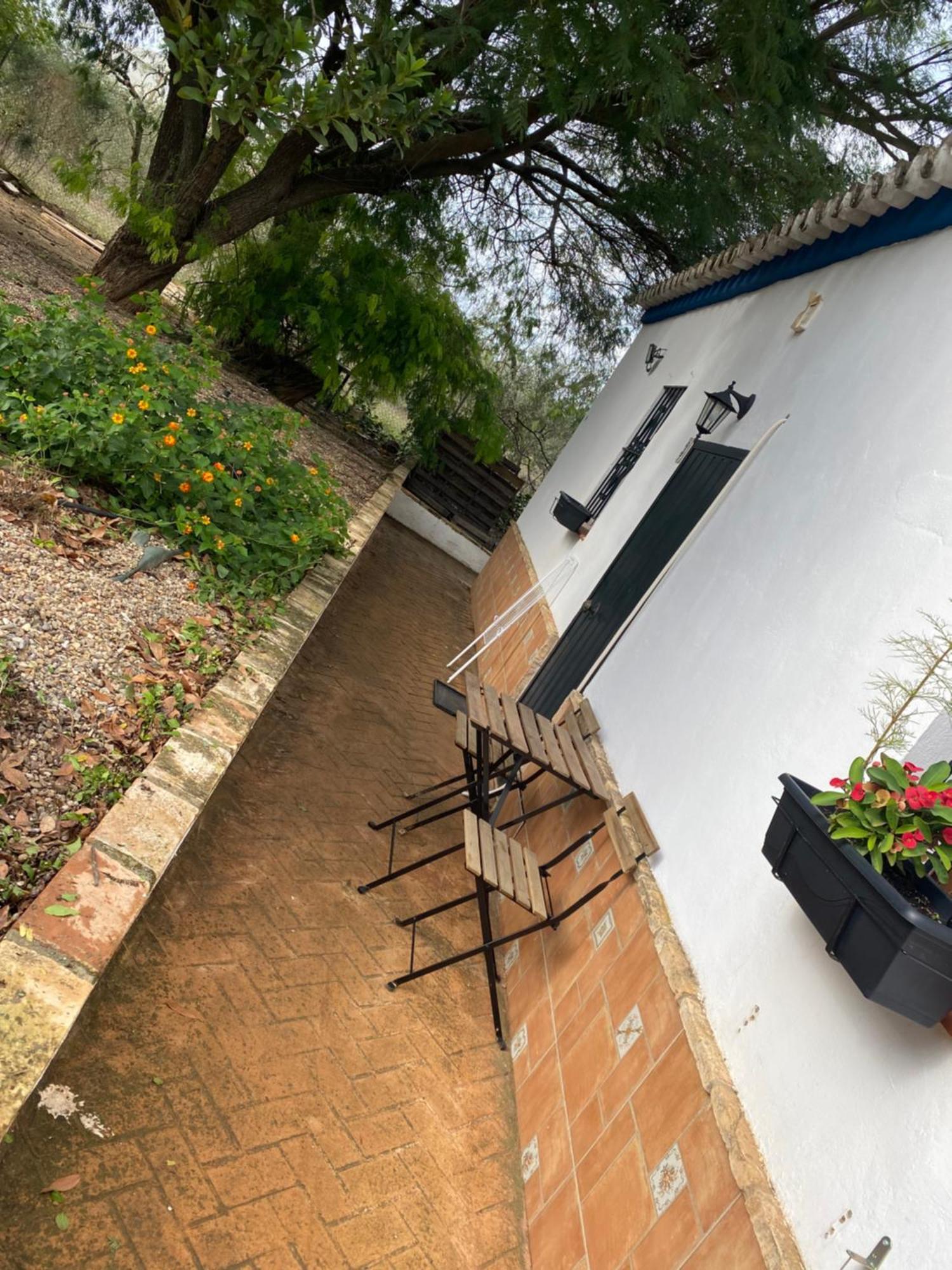 Casa Los Laureles Pilas Exterior foto