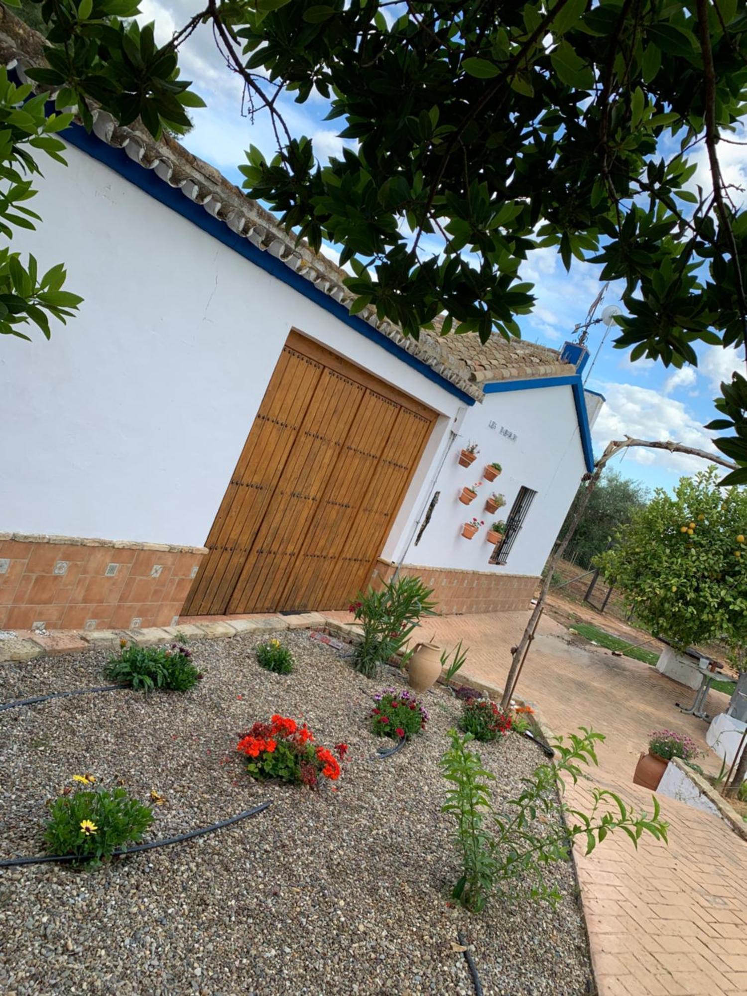 Casa Los Laureles Pilas Exterior foto